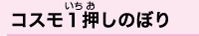 コスモ1押しのぼり